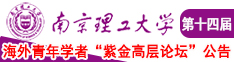 台湾羞羞答答南京理工大学第十四届海外青年学者紫金论坛诚邀海内外英才！